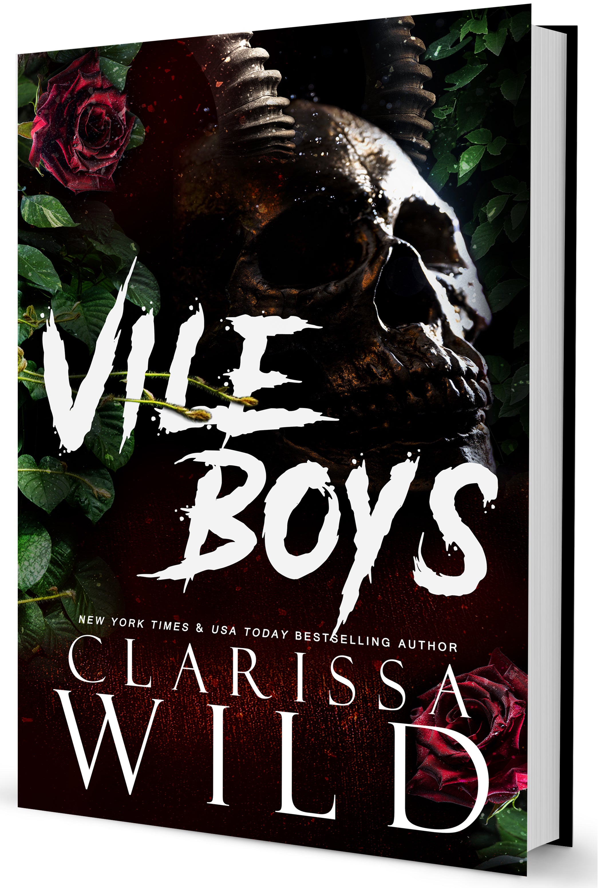 Vile Boys - Clarissa Wild