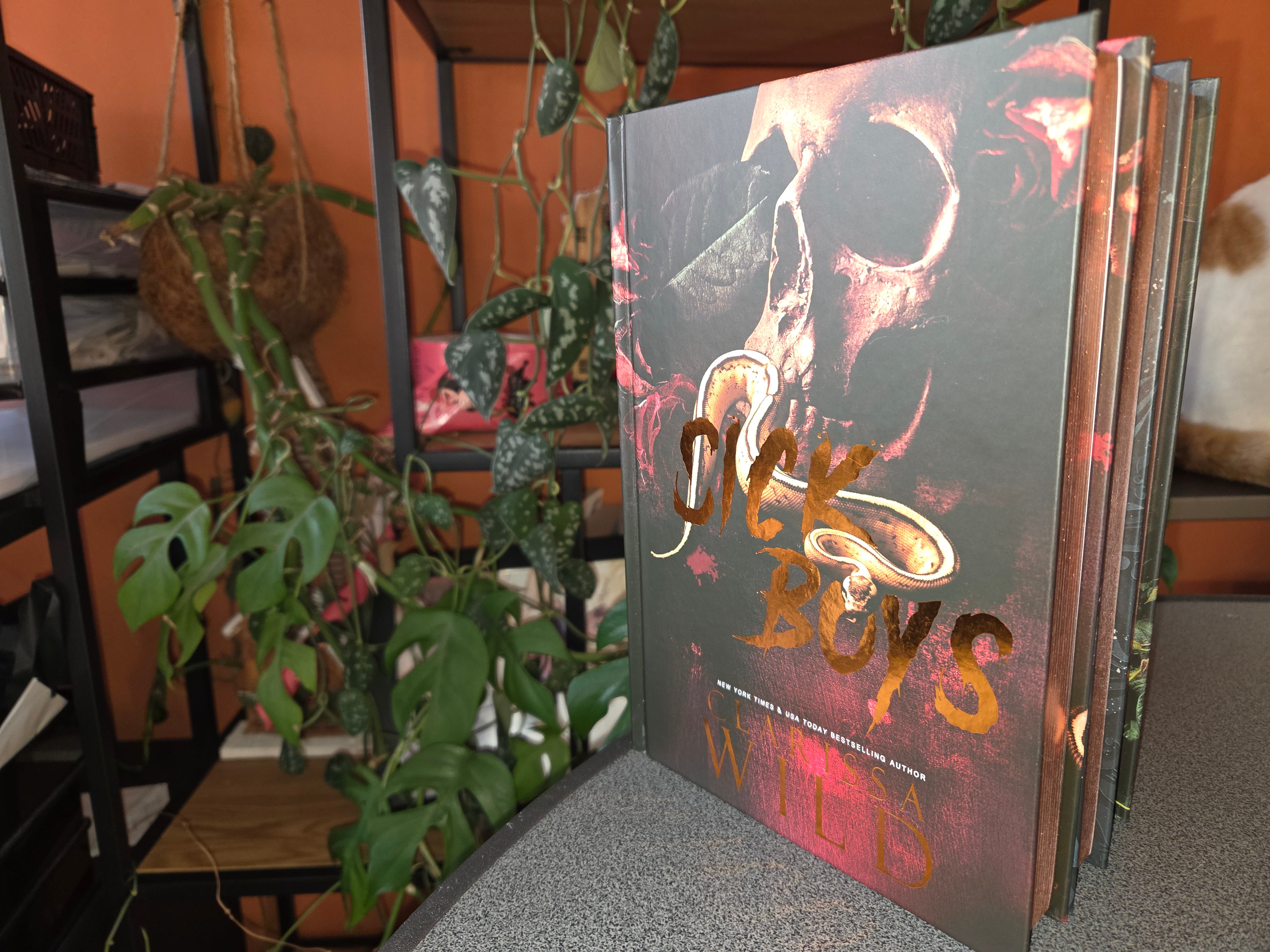 Sick Boys, Evil Boys, Vile Boys, Boys Who Hunt - GOLD FOILED & SPRAYED Special Edition